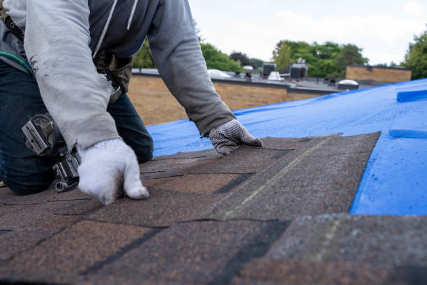 Best Roof Leak Repair  in Melbourne, AR
